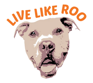 Live Like Roo: More Than an Organization — A Promise to Pets & Their People