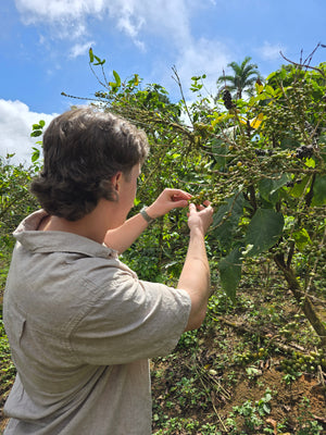 Our owner Jackson visiting a coffee farm in Tennessee, Blue Hound Brew is committed to ethical Sourcing