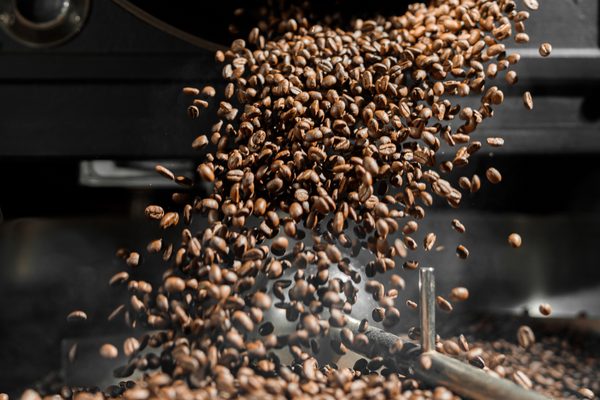 Elevate Your Coffee Service: Wholesale Partnering with Blue Hound Brew in Middle Tennessee