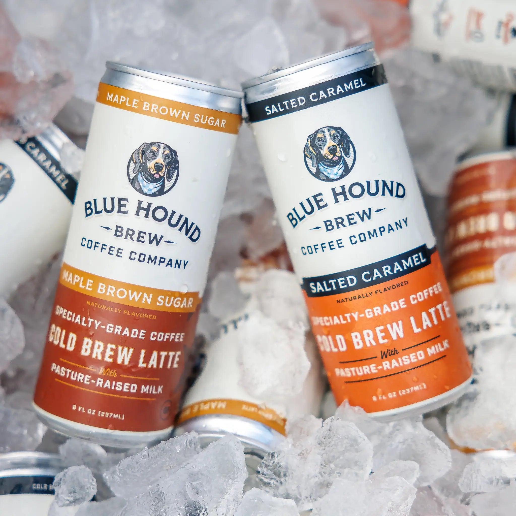 Blue Hound Brew: An Affordable Alternative to the Café Experience