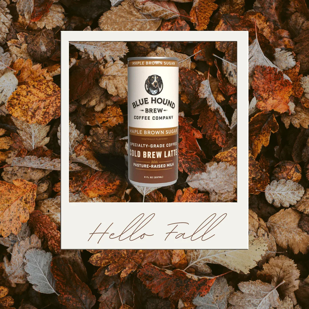 A Taste of Fall in Every Can: Our Maple Brown Sugar Latte - Blue Hound Brew