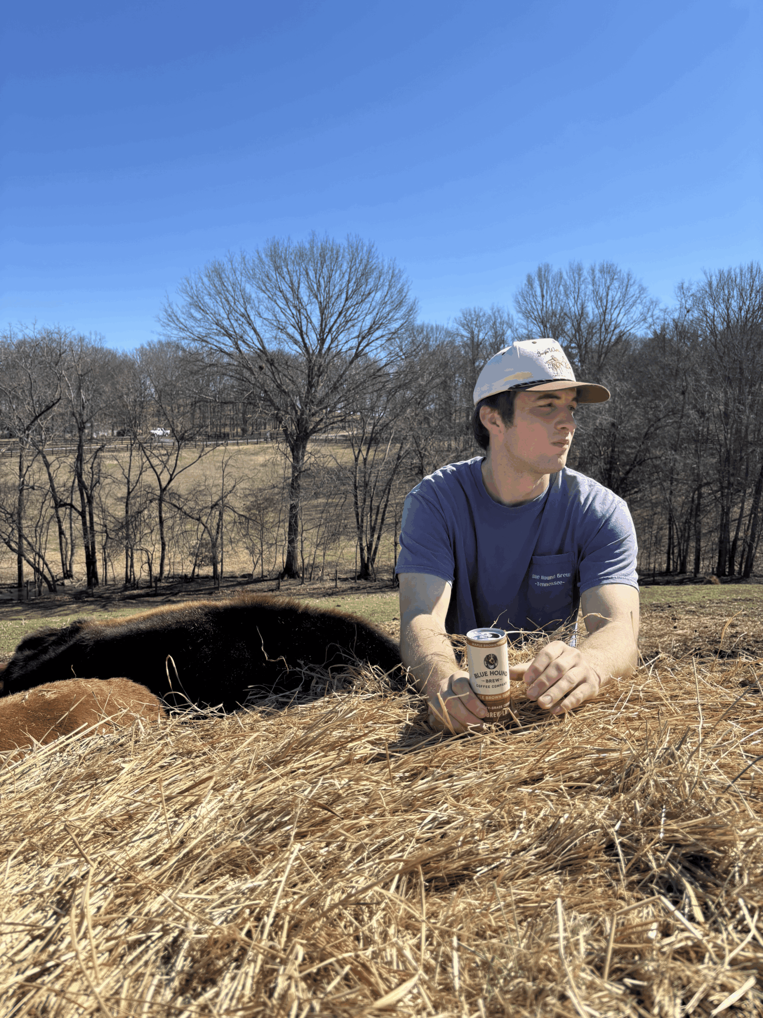 Behind the Cans: The Story of Blue Hound Brew