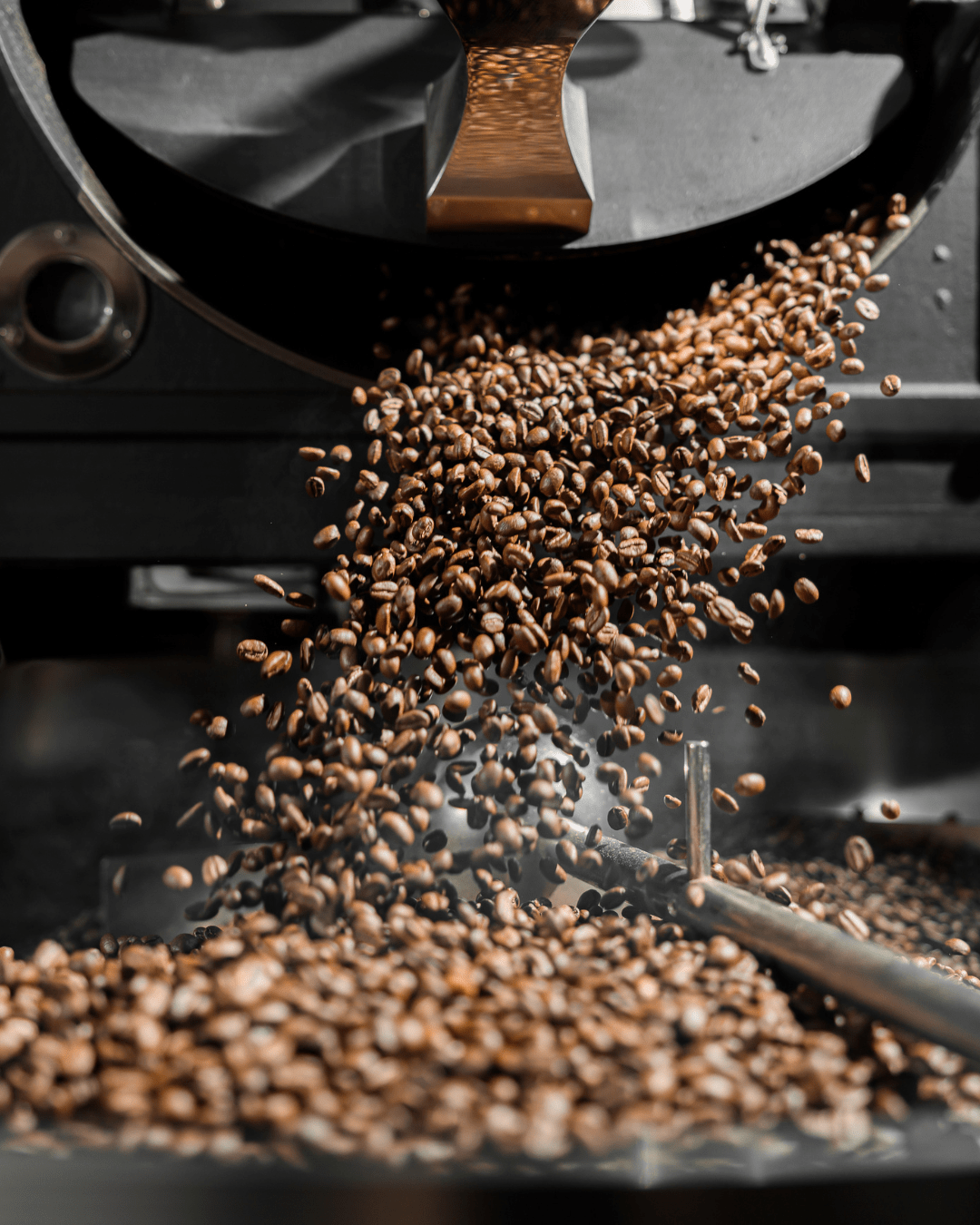 Freshly Roasted in Nashville: Introducing Our Wholesale Roasting Program - Blue Hound Brew