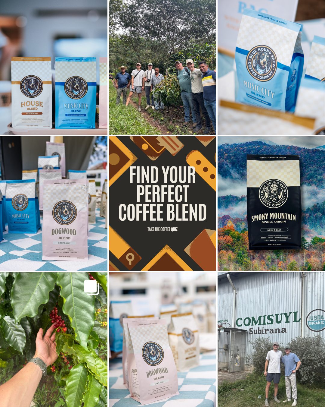 More Than a Morning Ritual: How to Discover Your Perfect Coffee Match - Blue Hound Brew