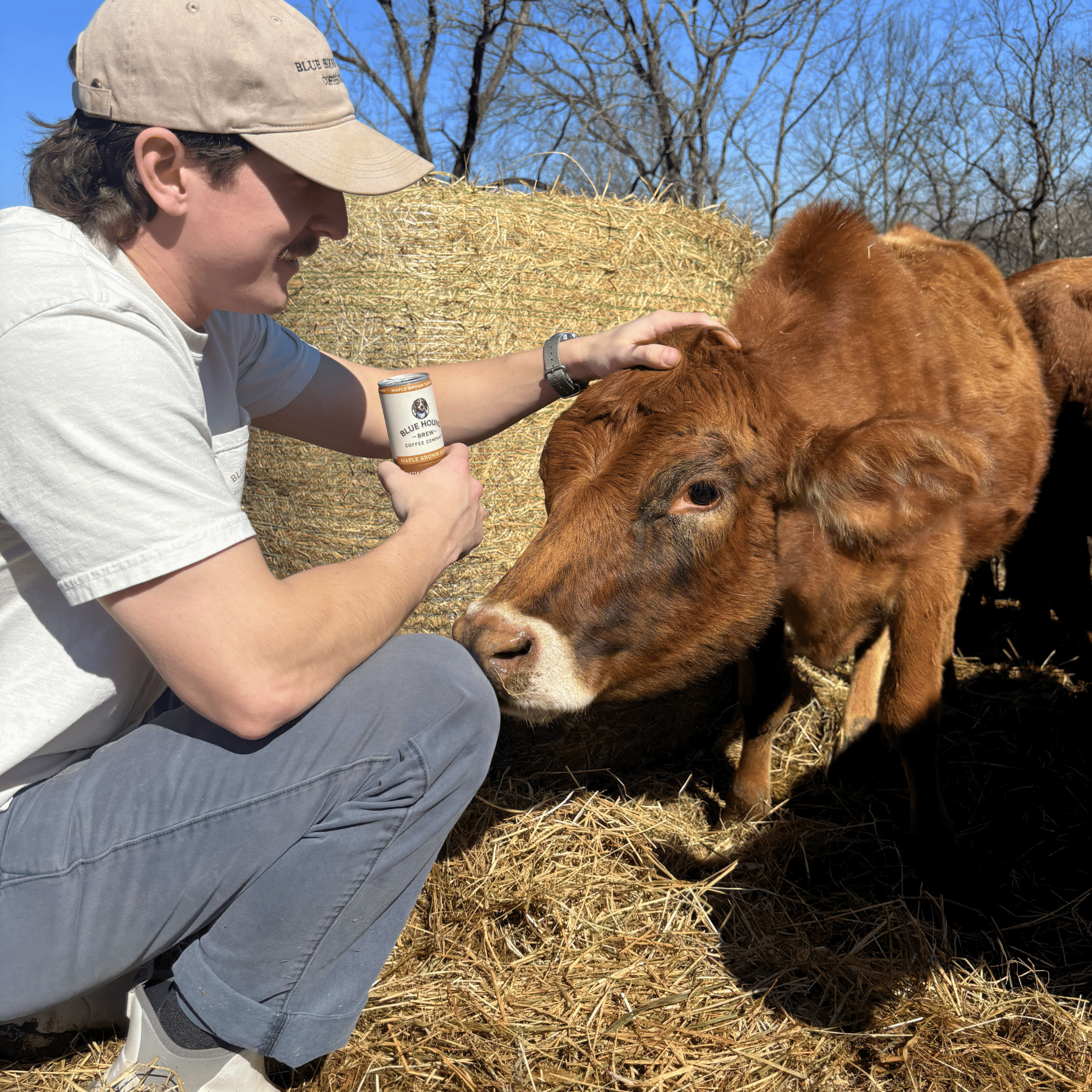 Pasture-Raised Milk vs. Regular Milk in Coffee: Does It Actually Matter? - Blue Hound Brew