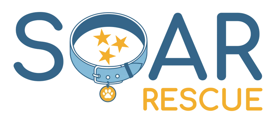 SOAR (Safpaw Outreach & Animal Rescue) - Blue Hound Brew