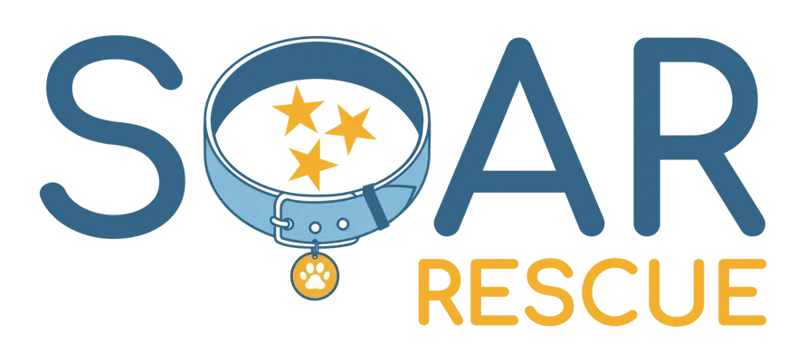SOAR: Discover the Impact of Safpaw Outreach Animal Rescue - Blue Hound Brew