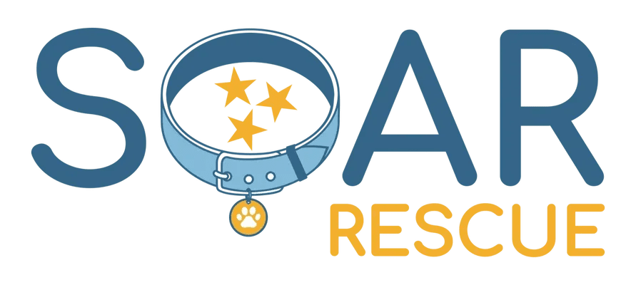 SOAR: Discover the Impact of Safpaw Outreach Animal Rescue - Blue Hound Brew