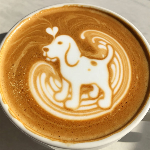 What Makes Our Coffee So Special? It's All About Specialty Grade! - Blue Hound Brew