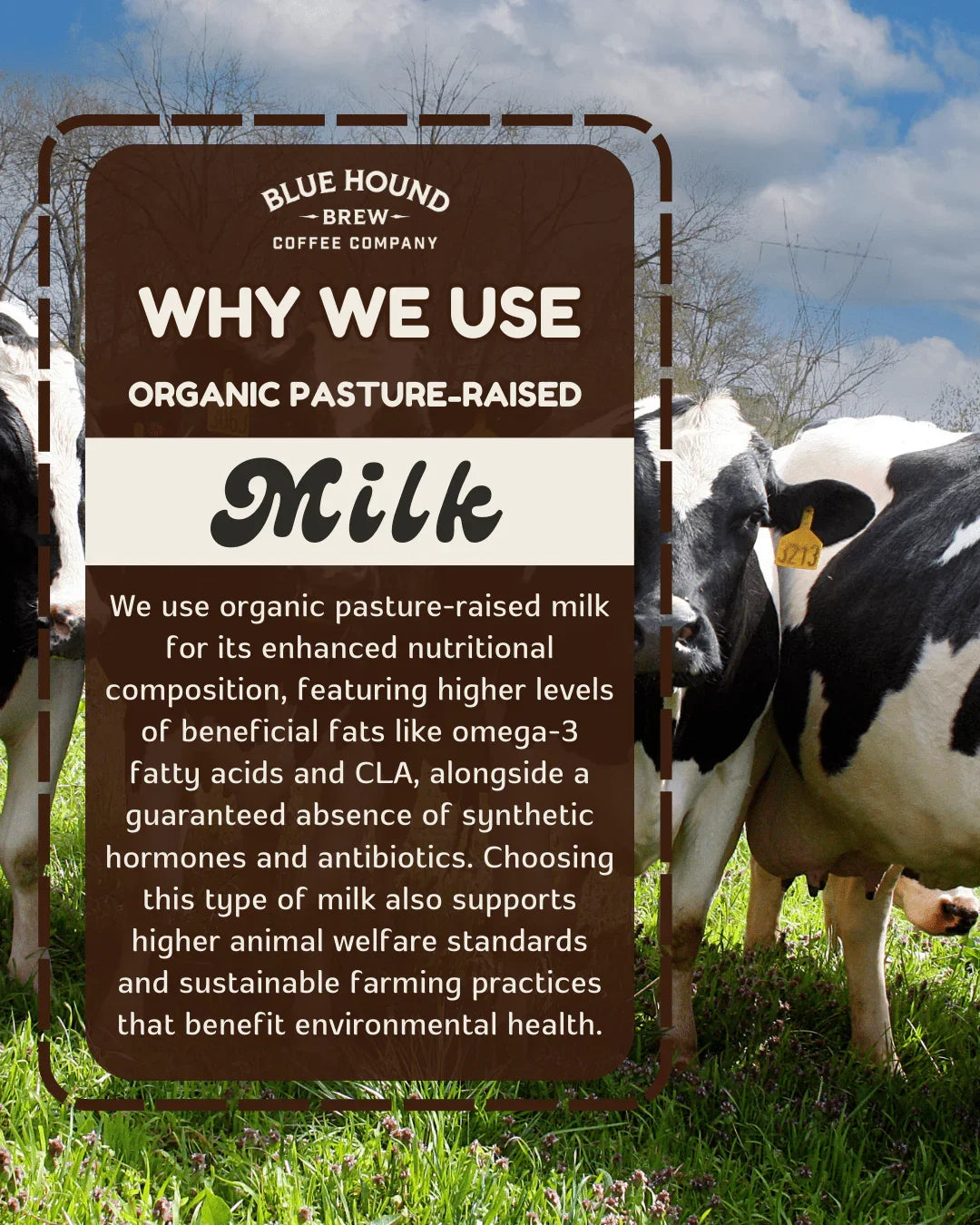 Why We Use Organic, Pasture-Raised Milk - Blue Hound Brew